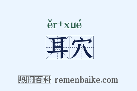 耳穴是什么意思的图片